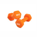 Hot Sale 3kg Dumbbell for Home Fitness & Gym